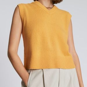 Everlane cashmere sweater vest
